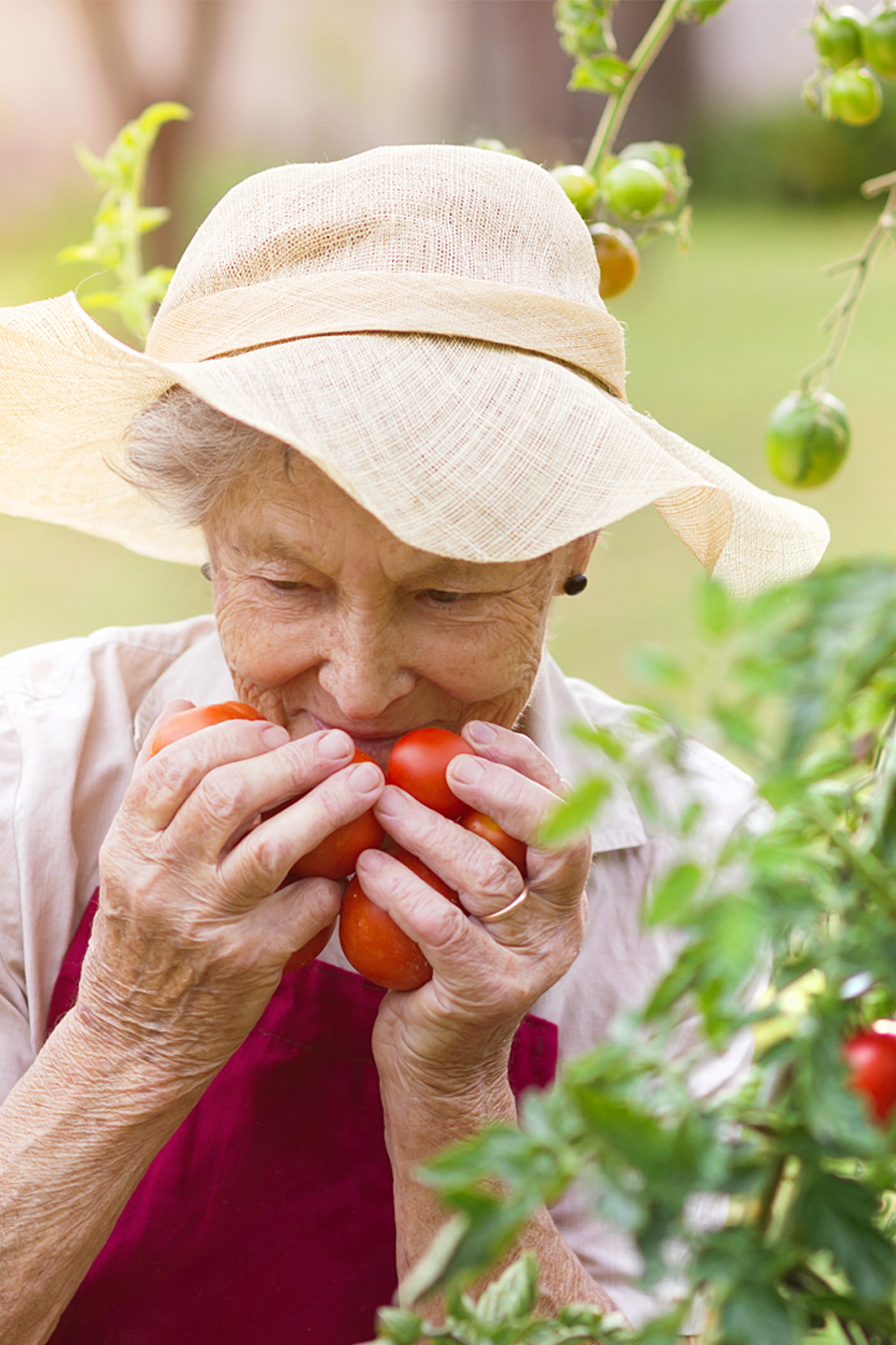 n-vier architekten, concept development Berlin, farm shop, harvesting, gardening